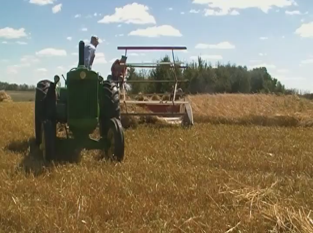 Thumbnail image for Melita Pott's Threashing Aug 23 2015