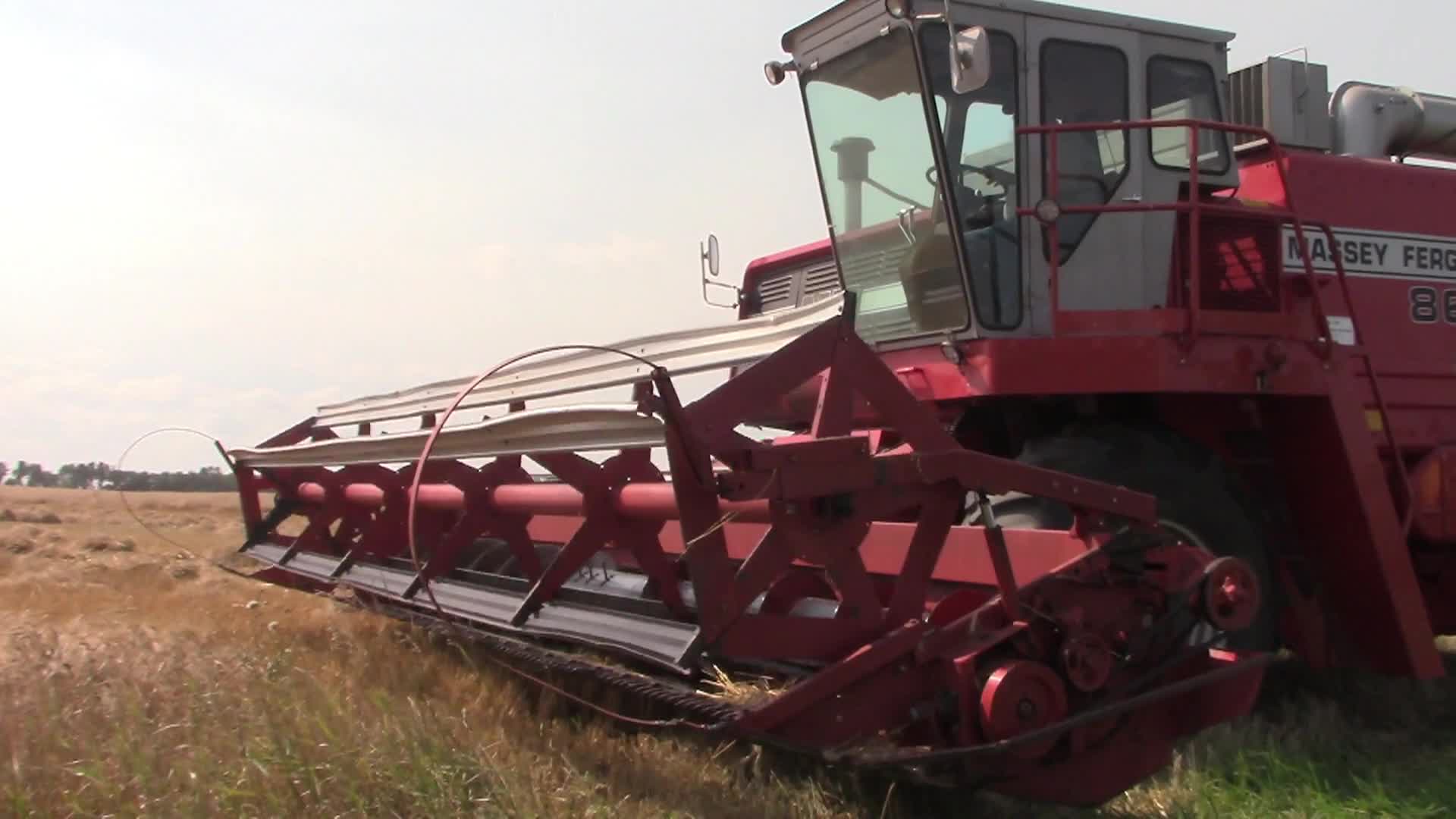 Thumbnail image for Minn Heritage Harvest Aug 31 2024