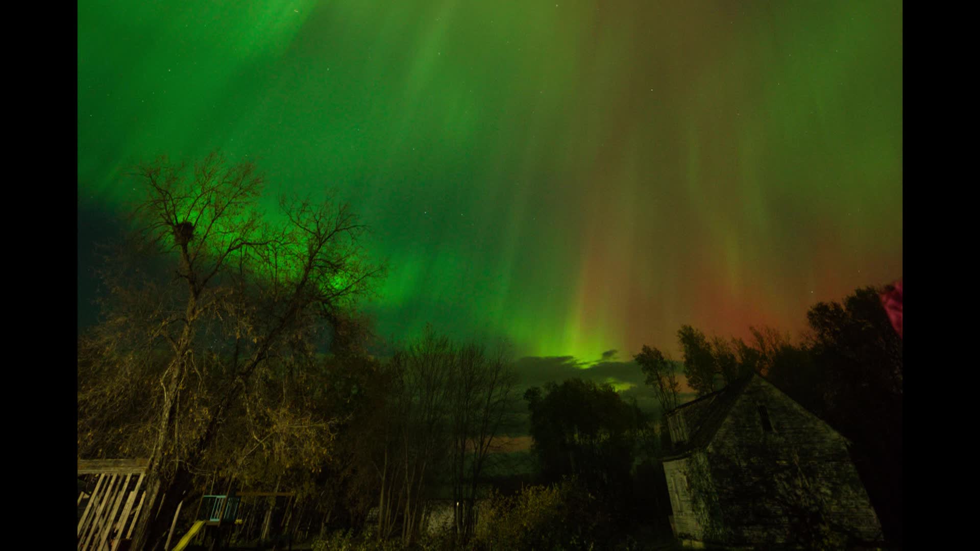 Thumbnail image for Swan - Aurora - 15Dec2024