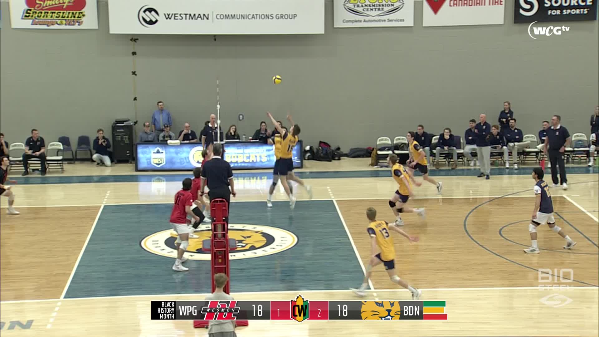 Thumbnail image for Volleyball-Brandon University Bobcats vs University of Winnipeg Wesman Womens Game (Live)_Feb 8_2025