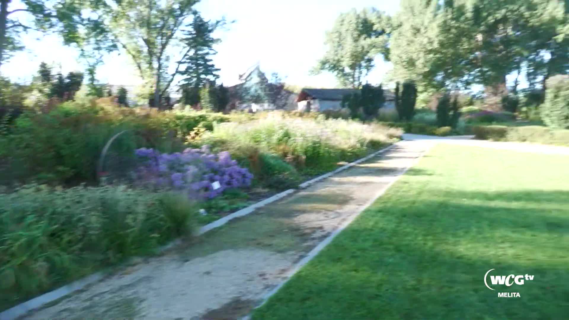 Thumbnail image for Mel International Peace Gardens Sept 22 2024