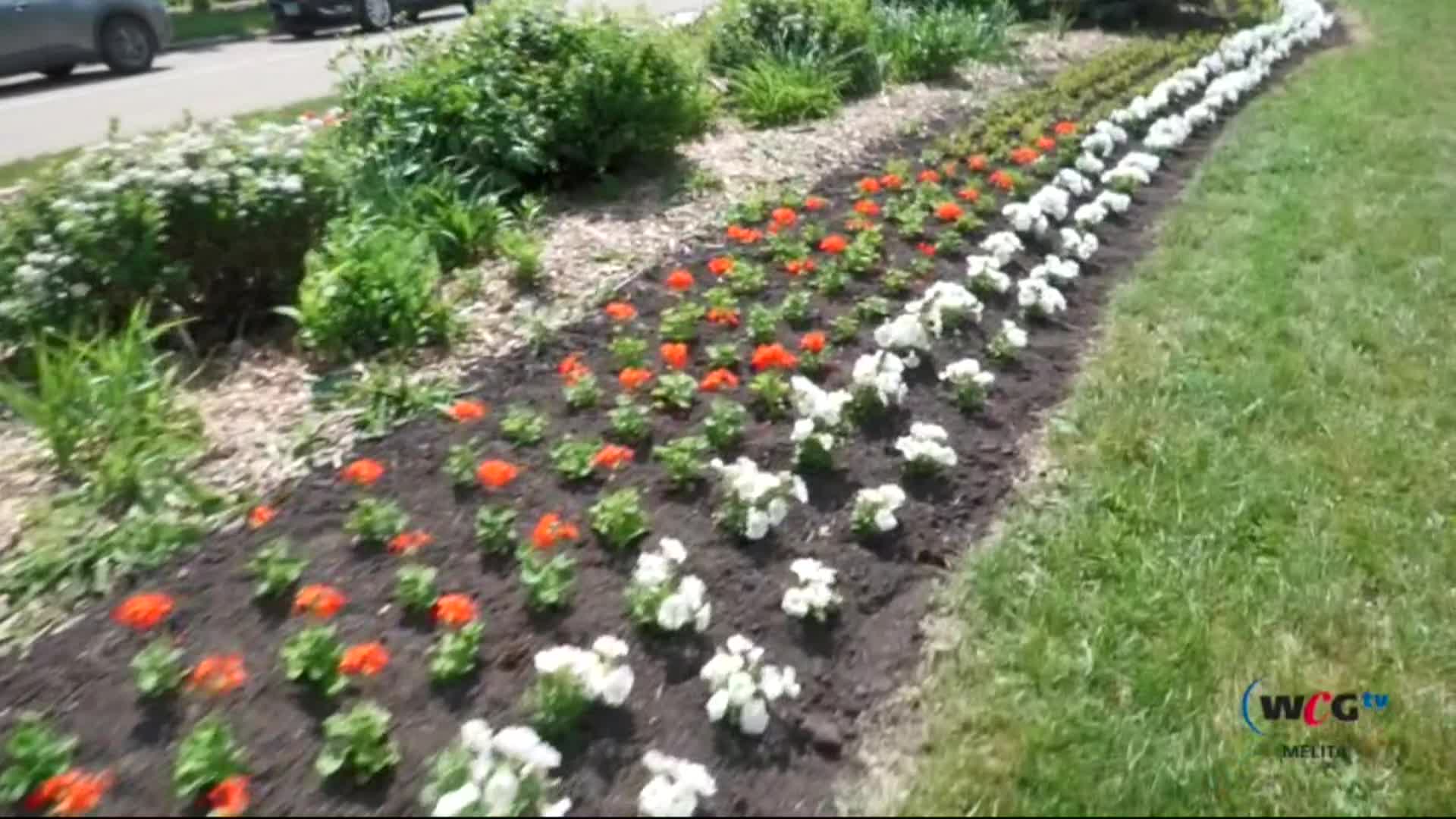 Thumbnail image for Mel Day at International Peace Gardens June 21 2025