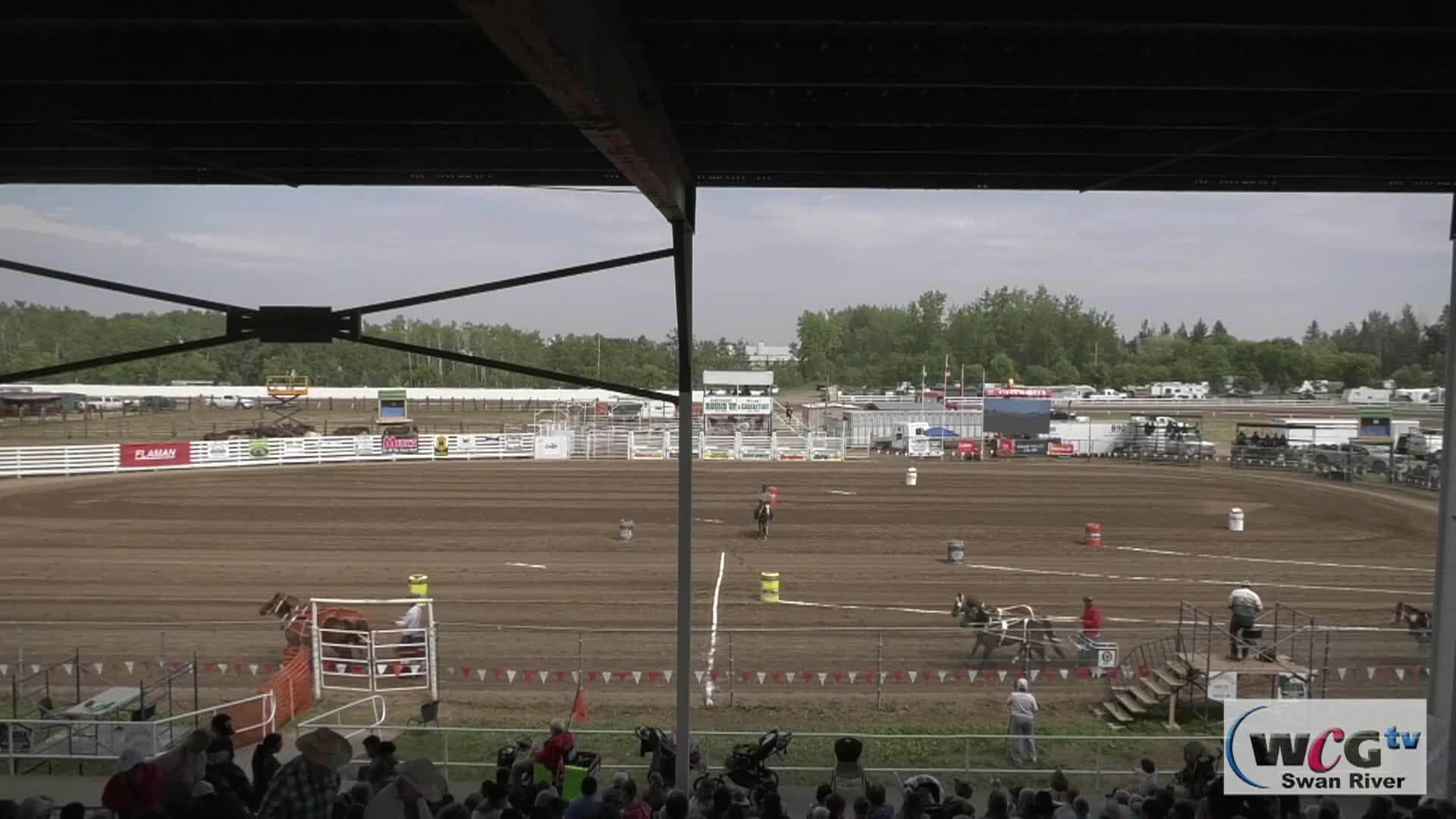 Thumbnail image for Swan-2025 NWR Chariots-Jul27