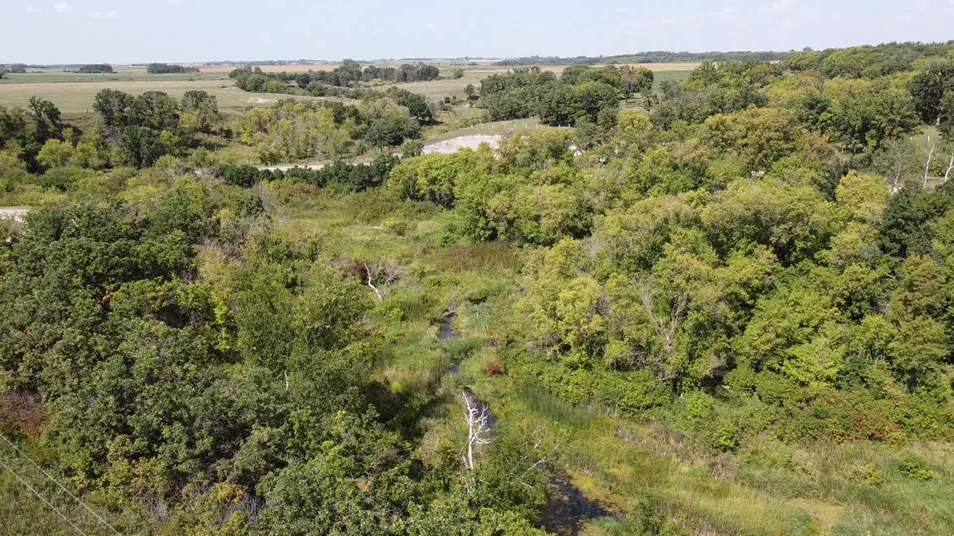 Thumbnail image for Rive-Eternal Springs-28-Aug-2025