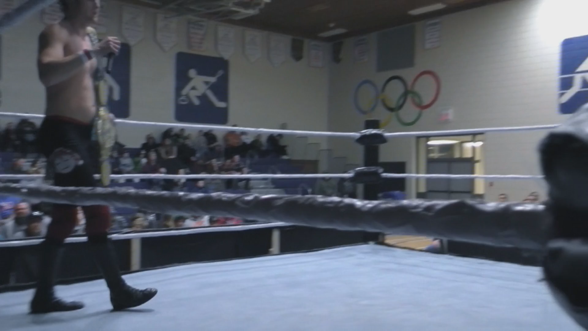 Thumbnail image for Swan - Pro Wrestling - March 10, 2018