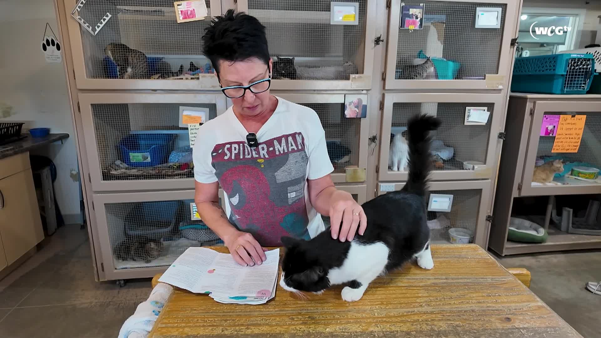 Thumbnail image for Humane Society_Hamilton_September 9_2025