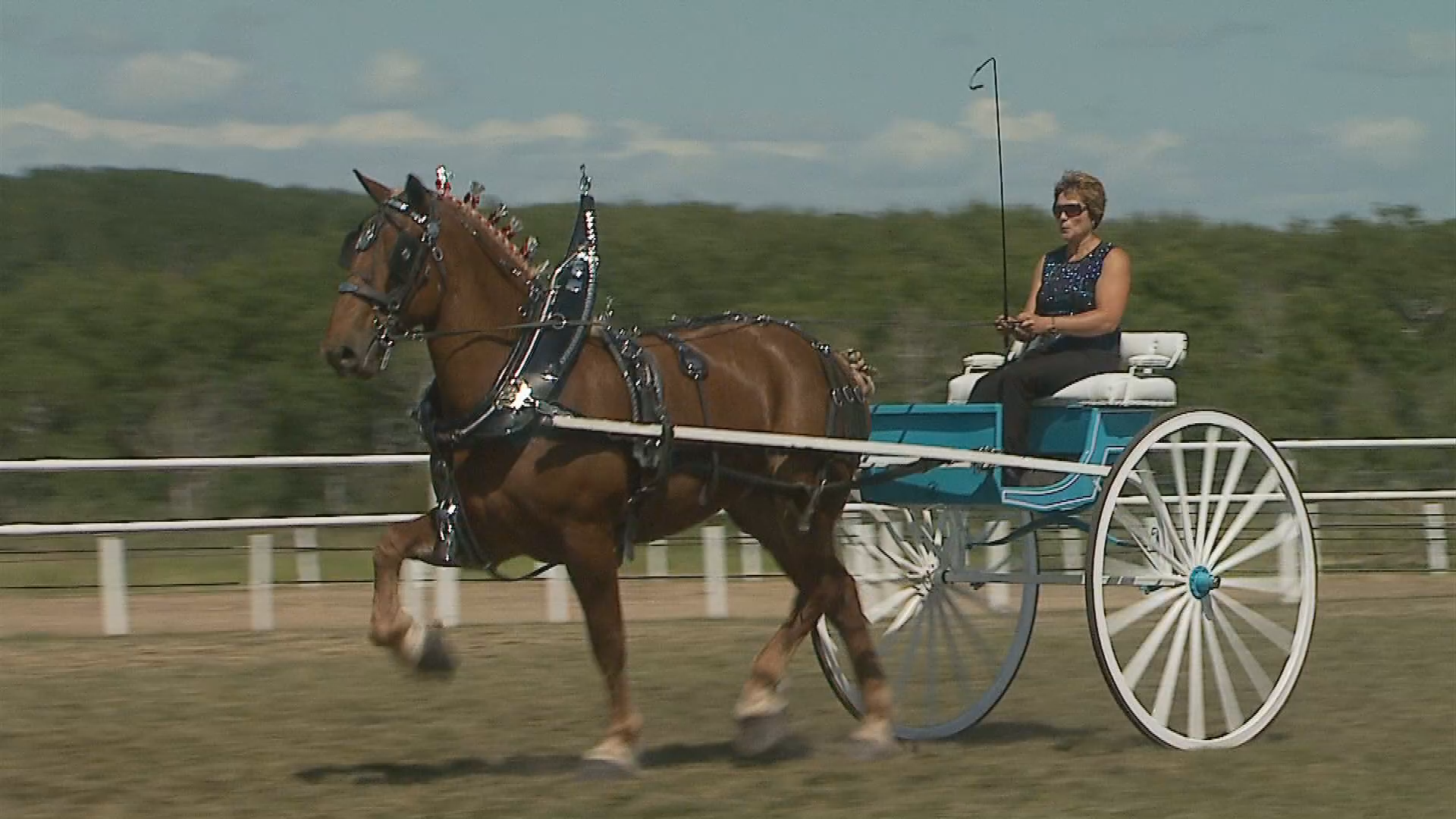 Thumbnail image for Birtle - Filler-  Ag. Fair 2011 - Ladies Cart Class