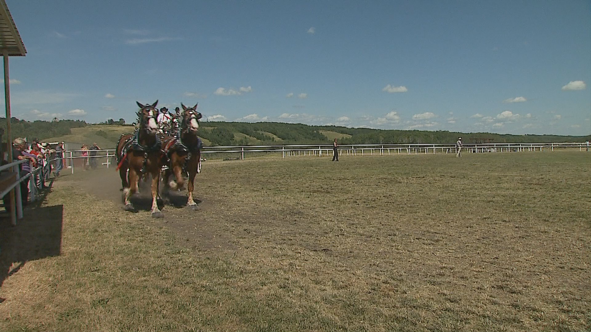 Thumbnail image for Birtle - Filler- Ag. Fair 2011 - Six Horse Hitch Class