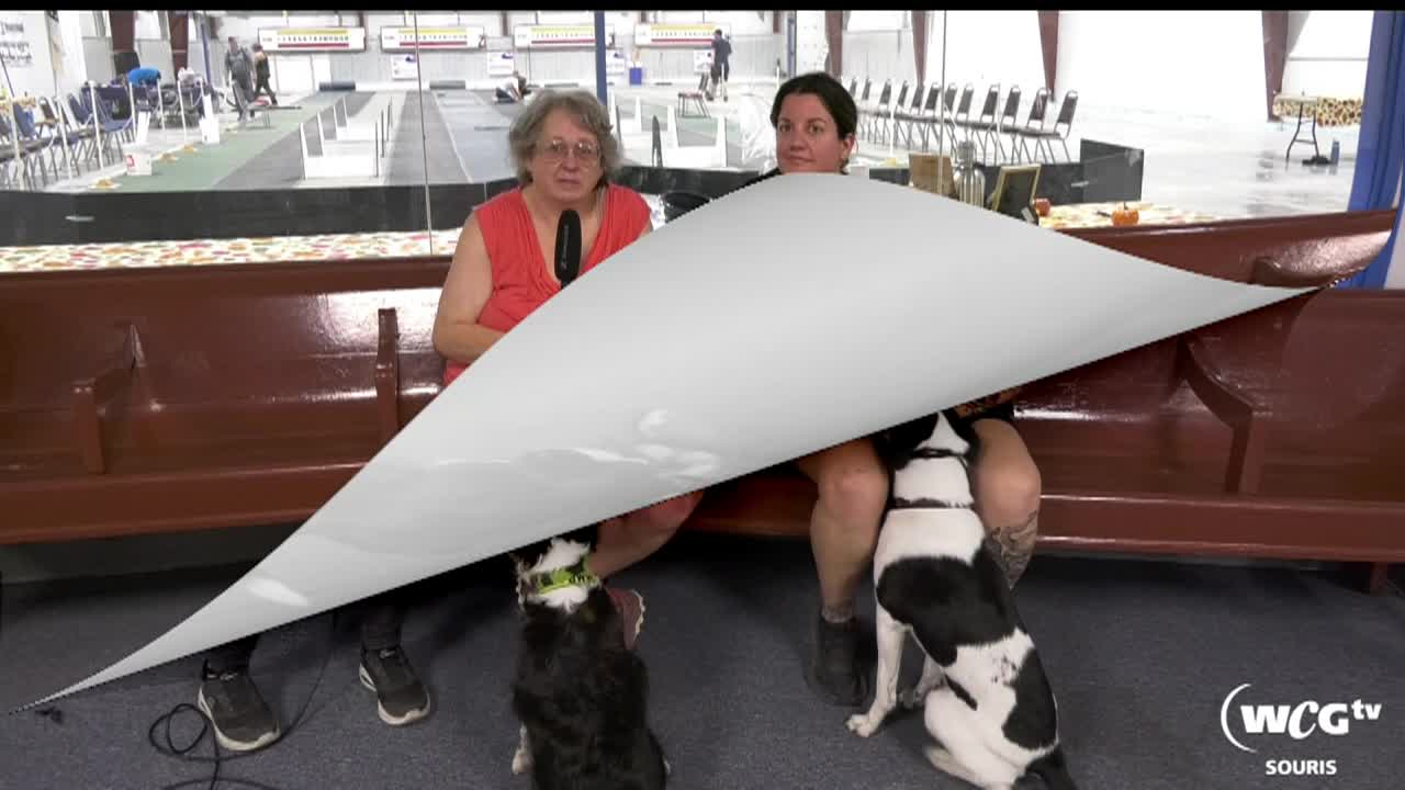 Thumbnail image for sour-fly dogs-Sept 27 2025