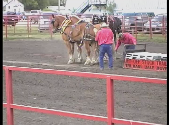 Thumbnail image for Melita Carnduff Horse Pull July 1 2013