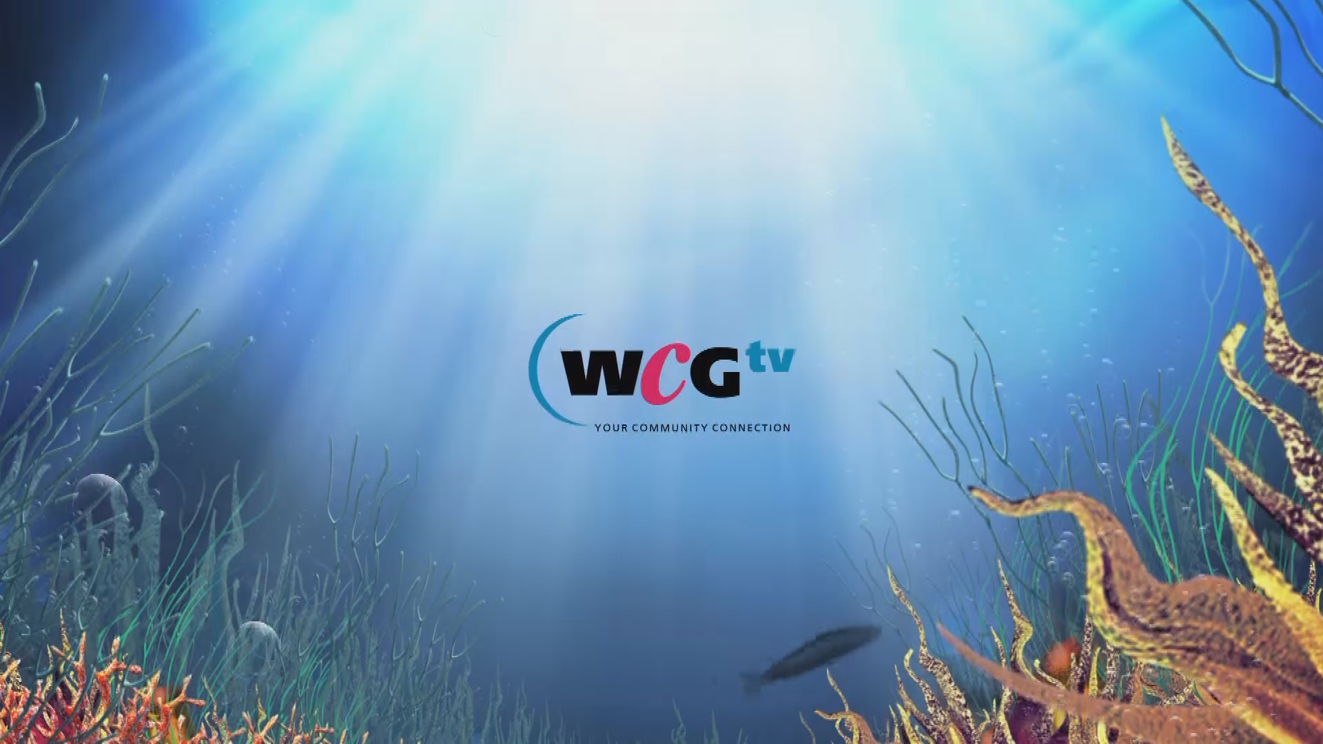 Thumbnail image for Scenic-IDGen-10