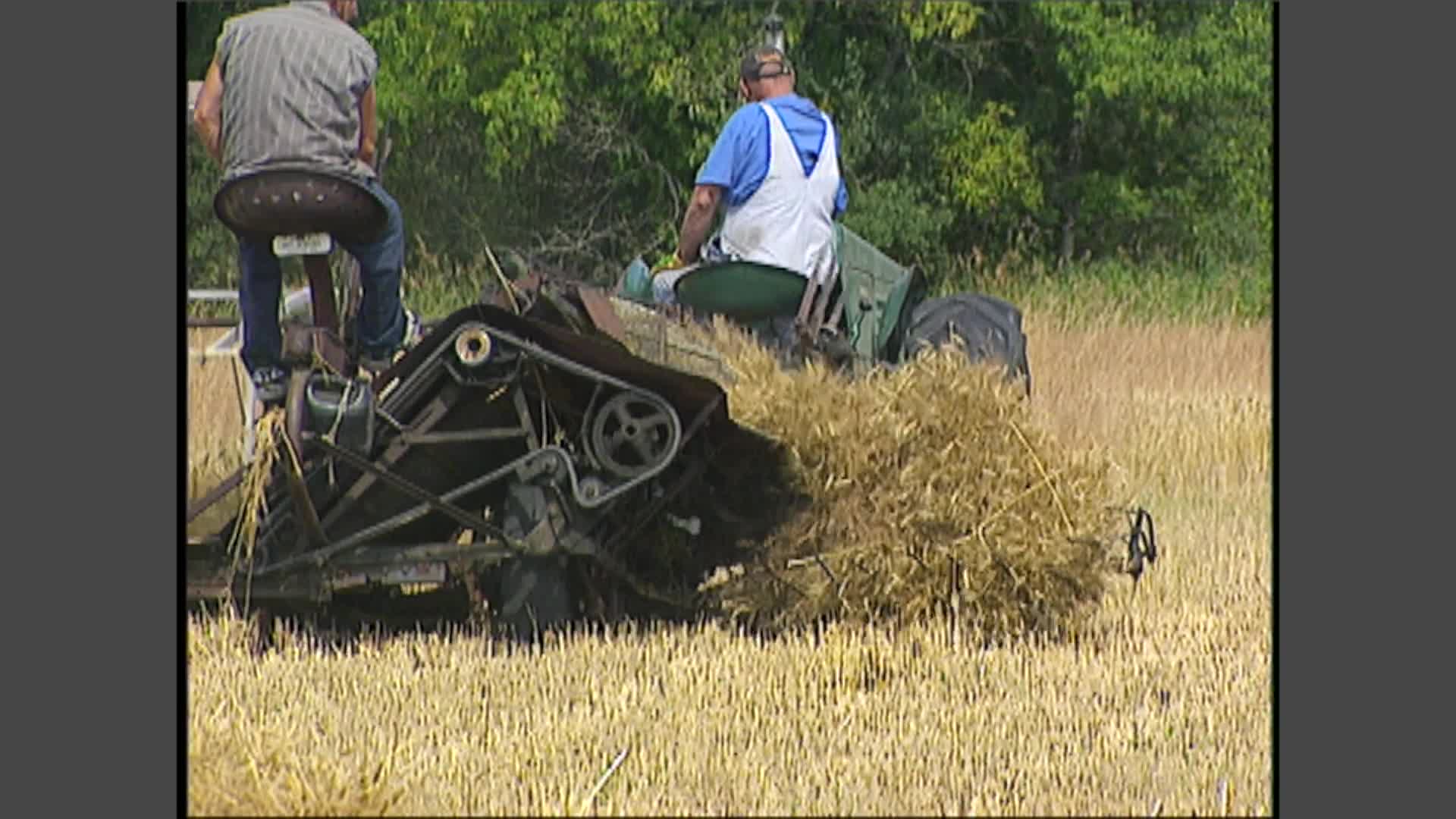 Thumbnail image for Celebrating the Harvest