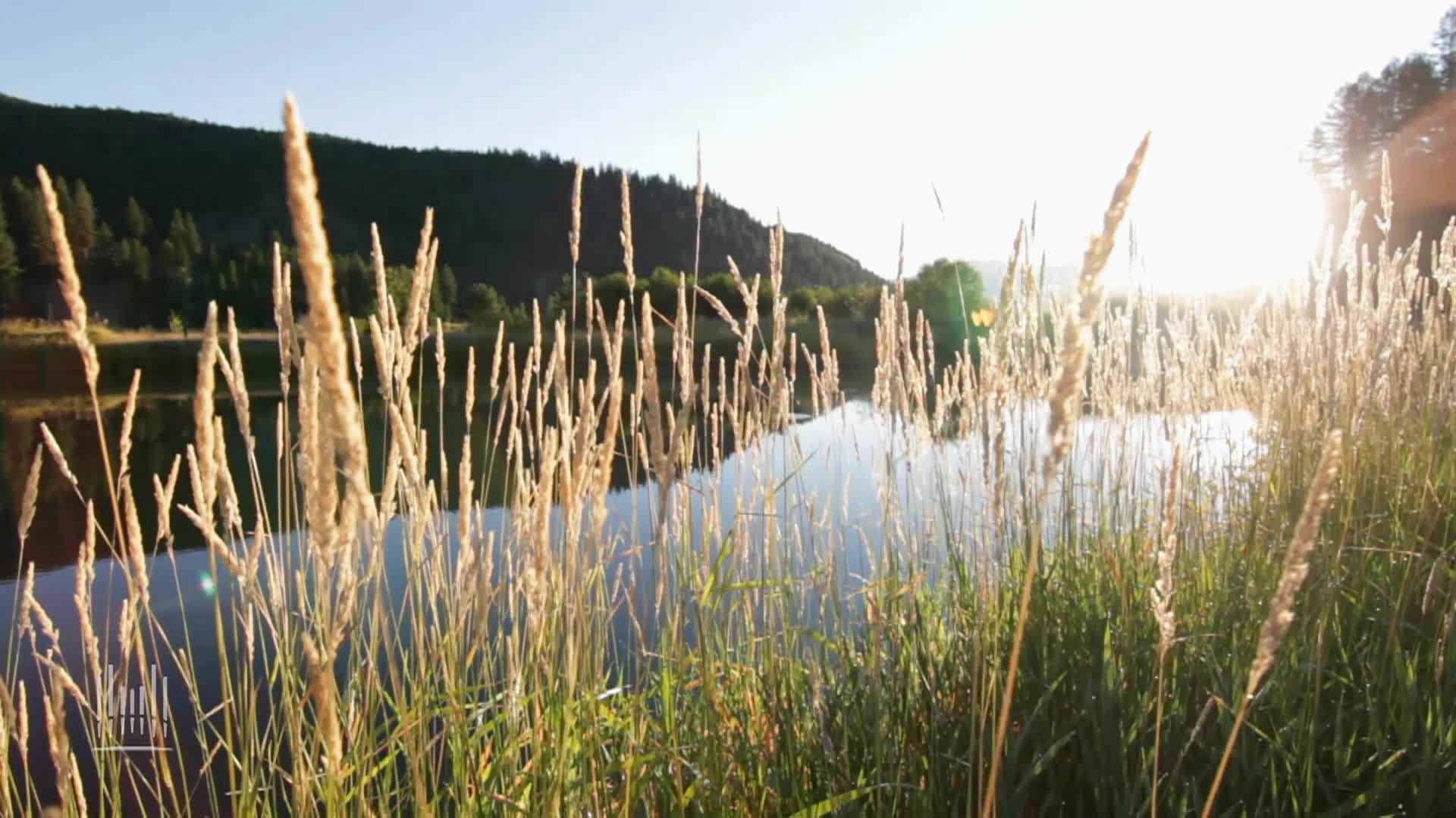 Thumbnail image for Tabernacle 5032 Weekly English