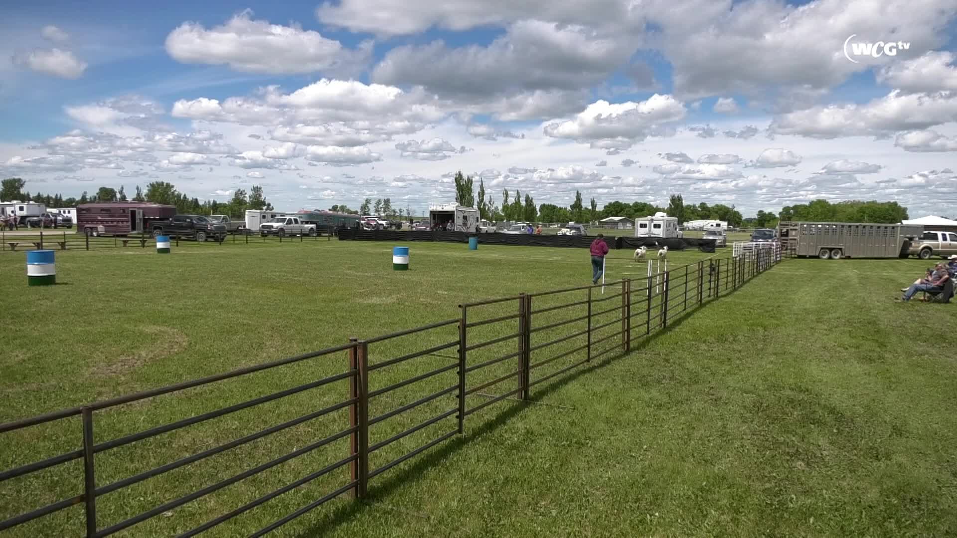 Thumbnail image for Boissevain Fair June 21, 2026