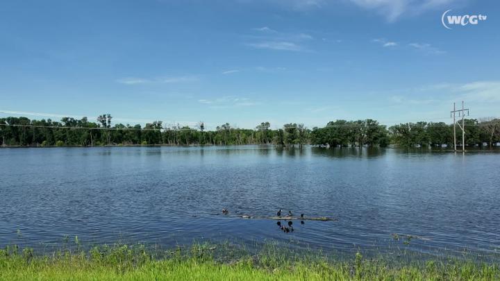 Thumbnail image for City of Brandon Flooding 2026