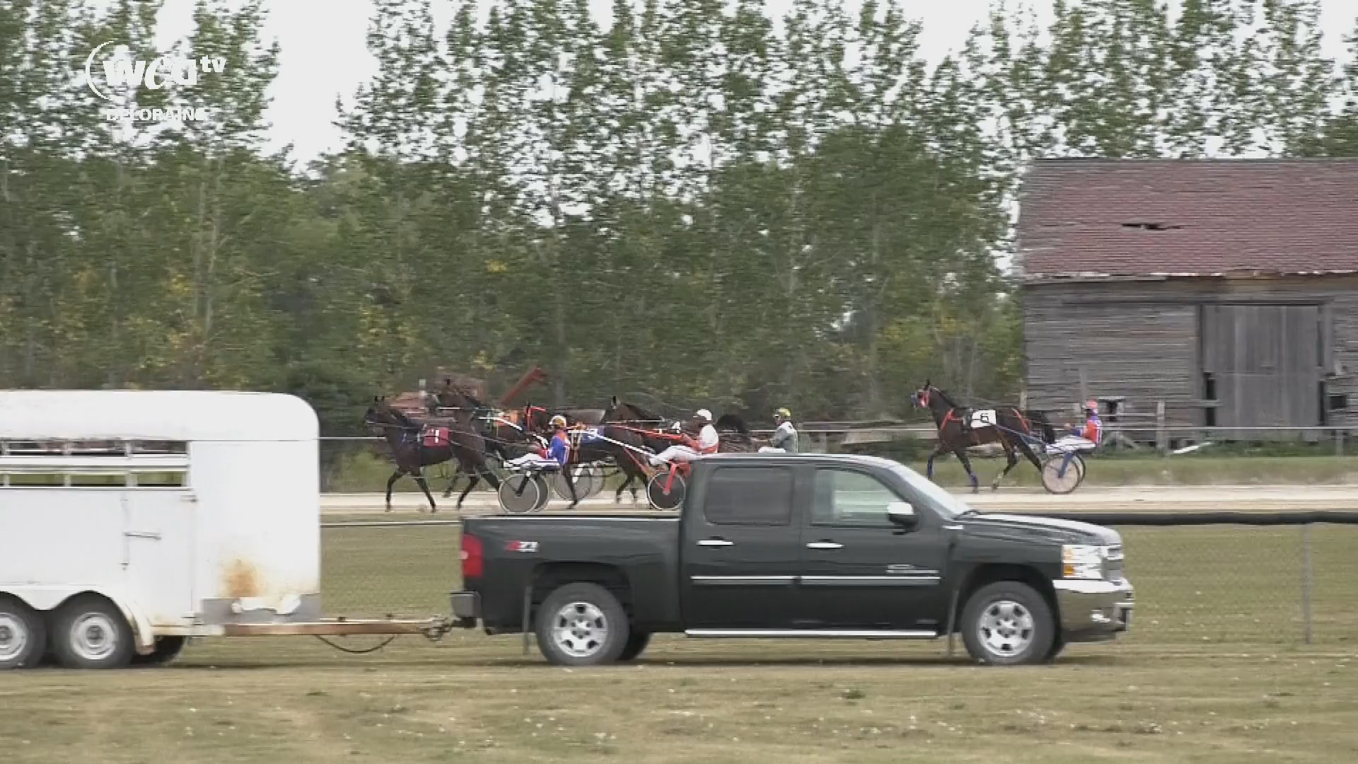 Thumbnail image for Delo - Killarney Little Irish Downs Harness Racing Aug 4th 2019