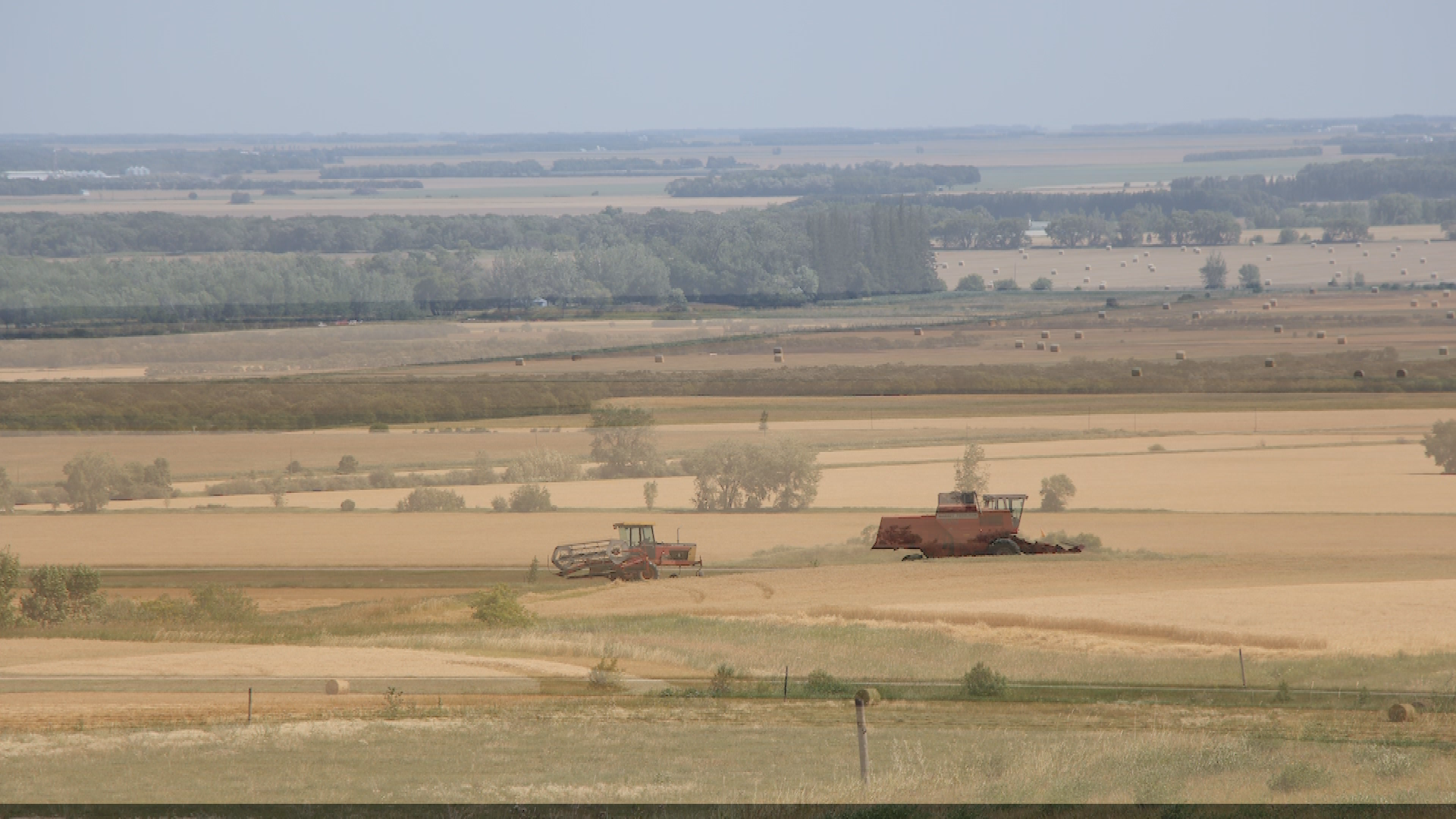 Thumbnail image for CARB_Working on the Farm_22Aug2019